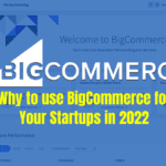Why to use BigCommerce for Your Stratups in 2022